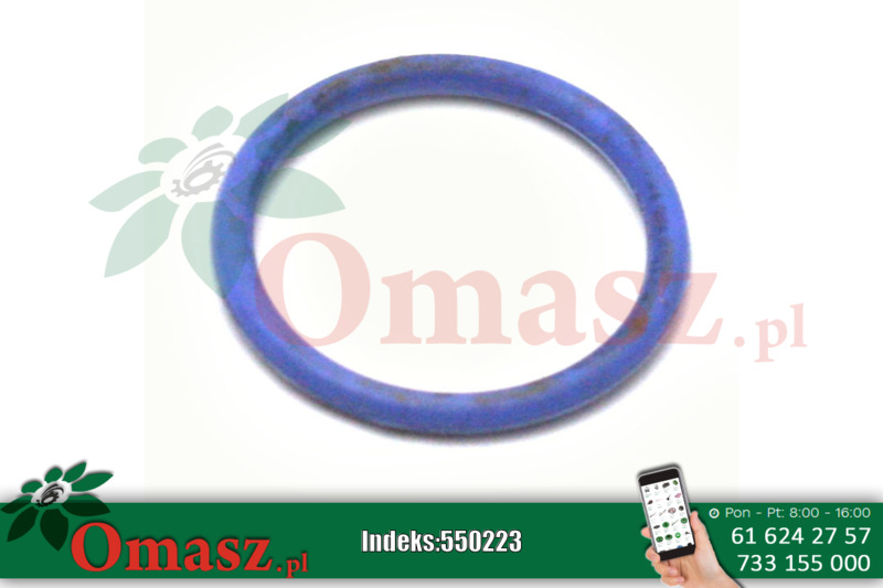 Oring 21,3*3 do przewodu pompy oleju w silniku SW400