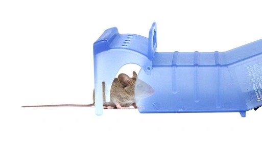 Humanitarna pułapka na myszy żywołapka plastikowa Bros