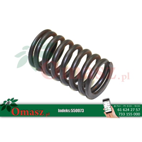 Sprężyna zaworu duża Bizon PL601558