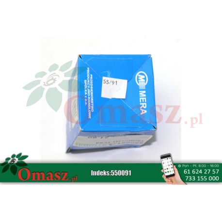 Termostat TF68 TV-20 Bizon PL323378