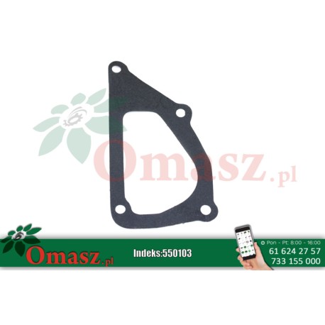 Uszczelka korpusu pompy wody SW-400 Bizon PL601219