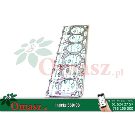 Uszczelka głowicy Bizon PL10624442