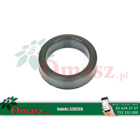 Pierścień pompa wody blok silnika SW400 19027011