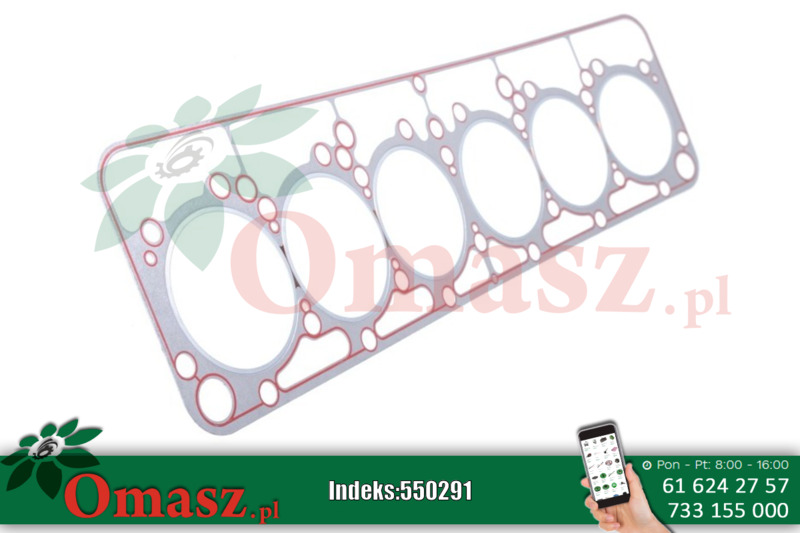 Uszczelka głowicy Bizon PL10624442
