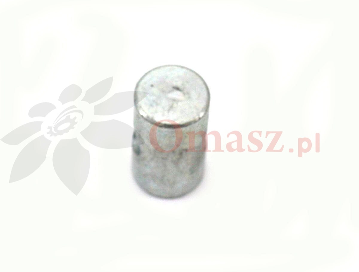 Sworzeń napinacza Bizon 5040/42-065/0