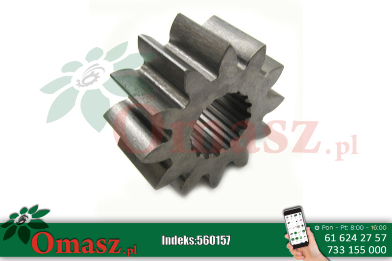Koło zębate zwolnicy Bizon 5040/24-004/1