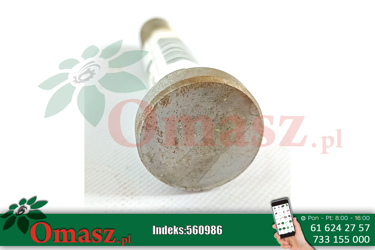 Oś napinacza nagarniacza Bizon 5060/42-006/0