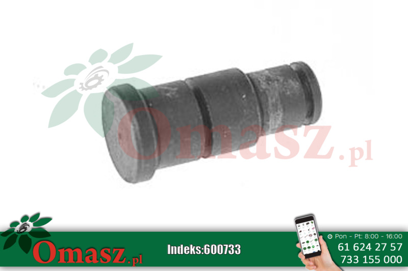 Sworzeń dźwigni kątowej Ursus C-360 50/58-234/0
