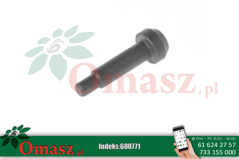 Sworzeń zabezpieczający Ursus C-360 50/58-219/0