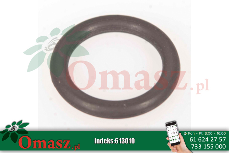 Oring Case, New Holland, Ford 9992298