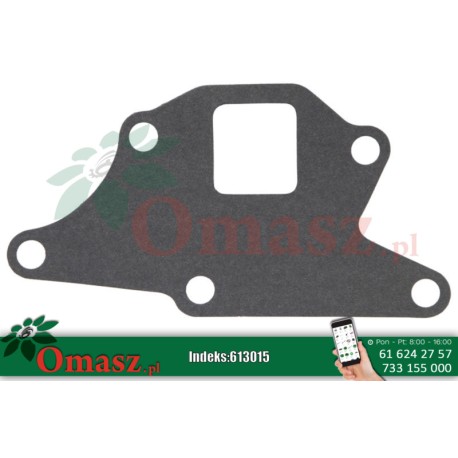 Uszczelka pompy wody 74717006 Ford