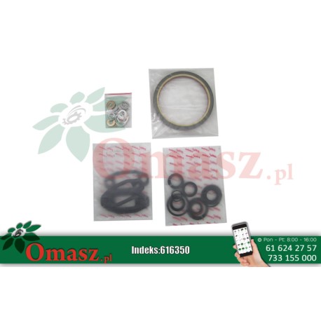 Komplet uszczelek silnika MWM D226 51004600 Case