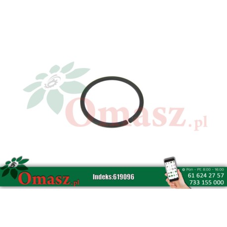 Pierścień dystansowy pompy wtryskowej Fendt 119200710180