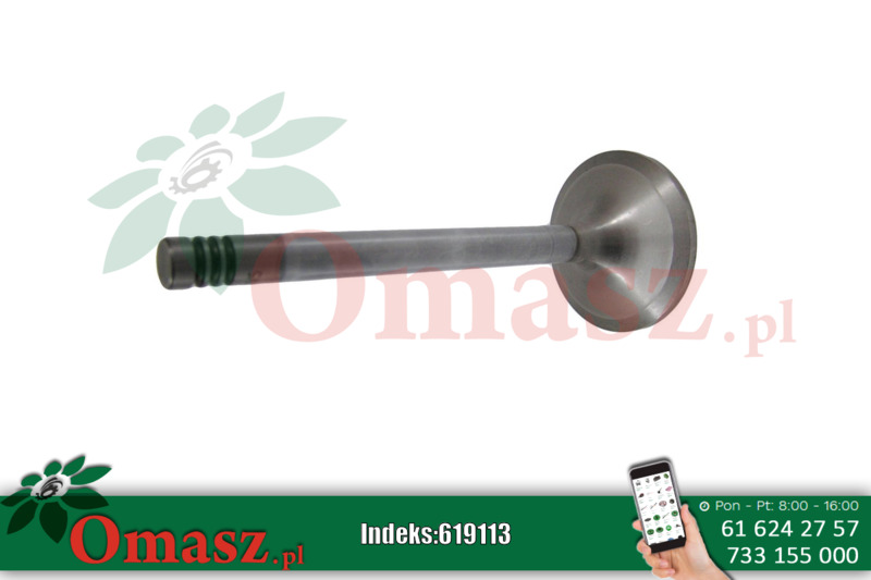 Zawór ssący głowicy 3804 3.1-6D D226B TD22