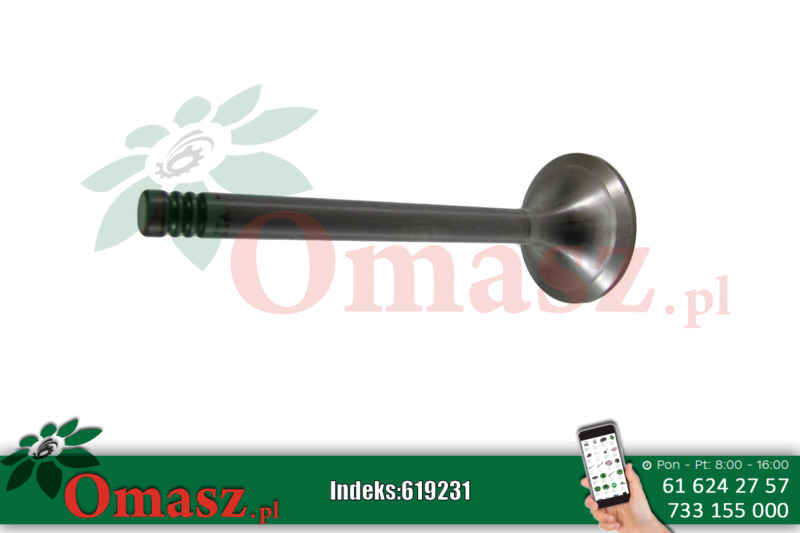 Zawór ssący MWM TD226 (71-77) Fendt