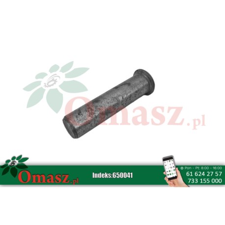 Sworzeń 20*80