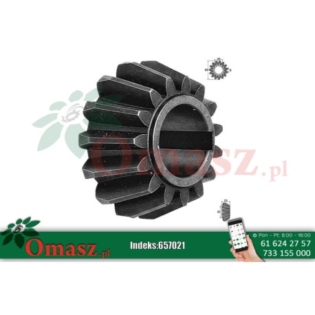 Koło zębate Z-15 przewracarki Kuhn 58556010