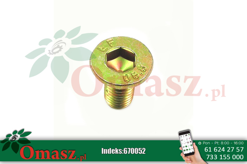 Wkręt a.M12*25 7991 imbus 8 10.9 talerza kosiarki