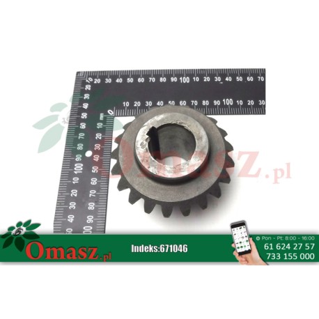 Koło zębate stożkowe Samasz, z-21 5112/101-007/0