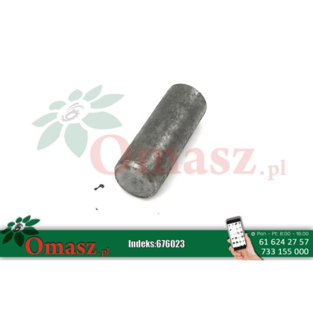 Wałek sprzęgła Kosiarki czeskiej ZTR 5089/03-007/0