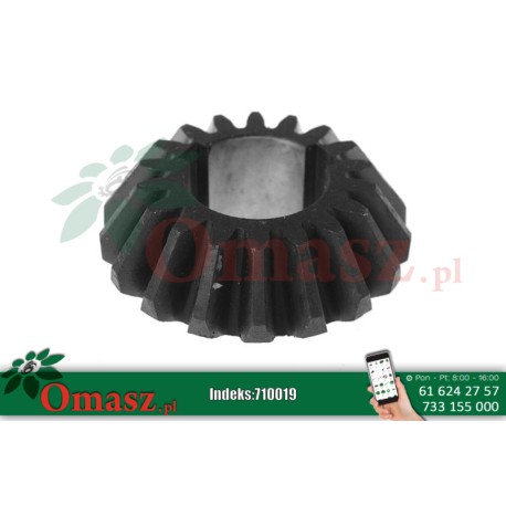 Koło przekładni rozrzutnika, Z-18, prostokatny otwór 42mm/10mm, wpust 2219/48-005/0