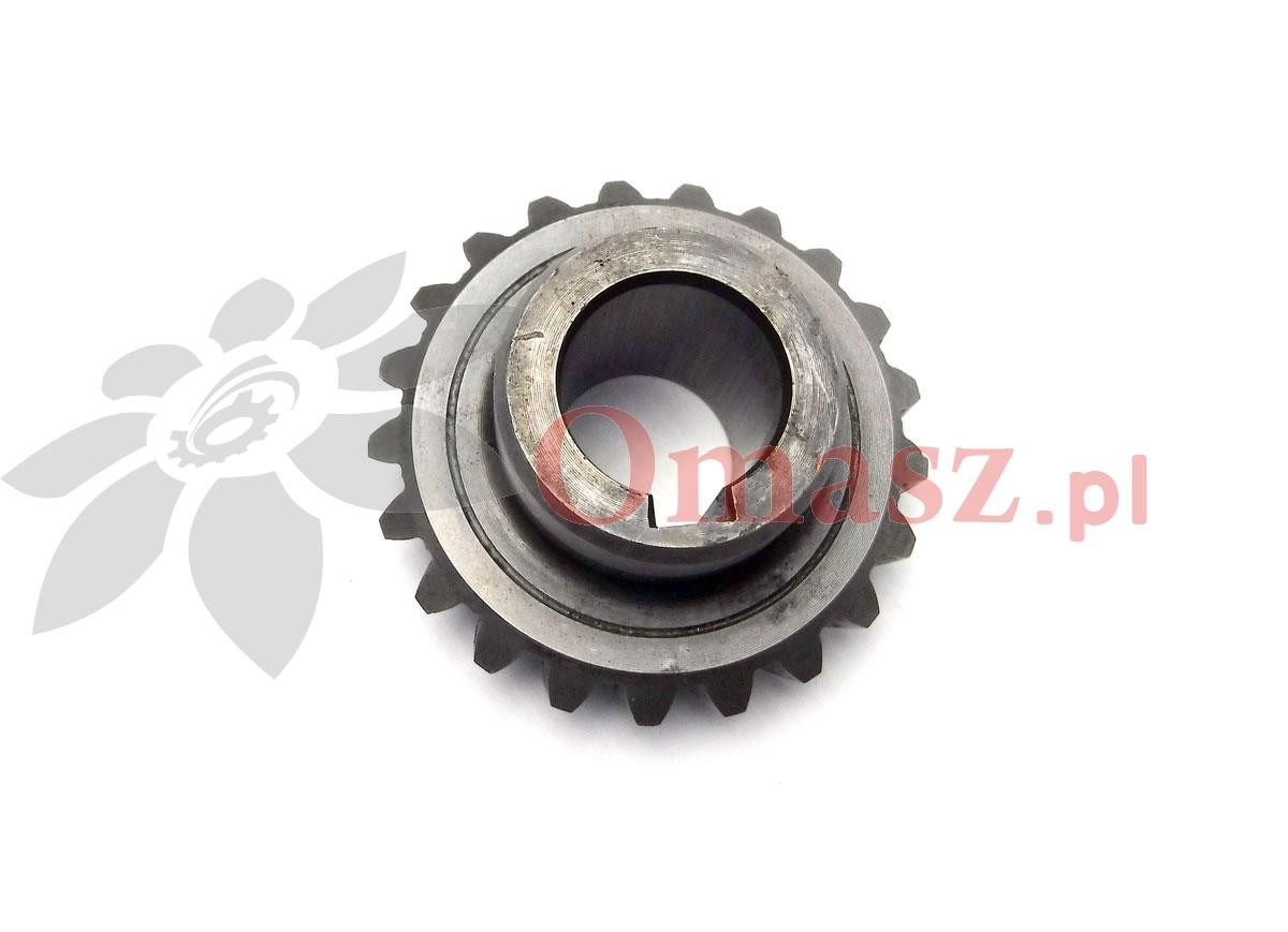 Koło zębate małe łukowe z-21 otwór 25mm, kosiarka 5036/01-066/1