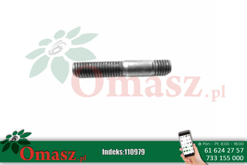 Szpilka M10* 45mm