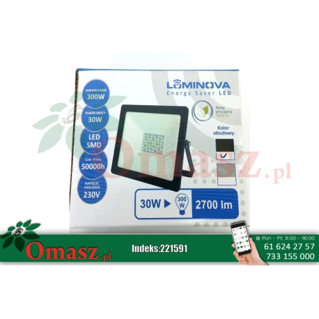 Naświetlacz LED 30W/ 230V