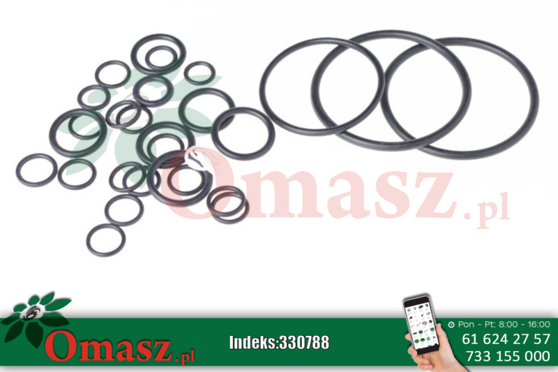 Komplet naprawczy pompy hydraulicznej MF 1810467M1