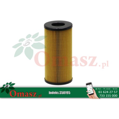 Wkład filtra paliwa z gwintem Manitou 8001095