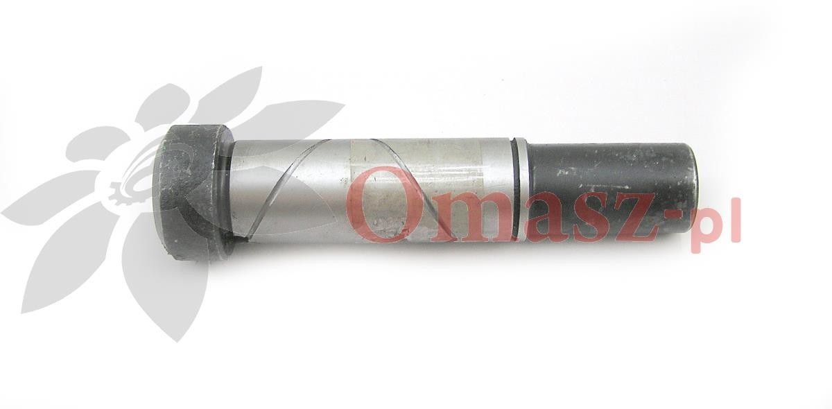 Cylinder motowideł Bizon 5040/03-180/0