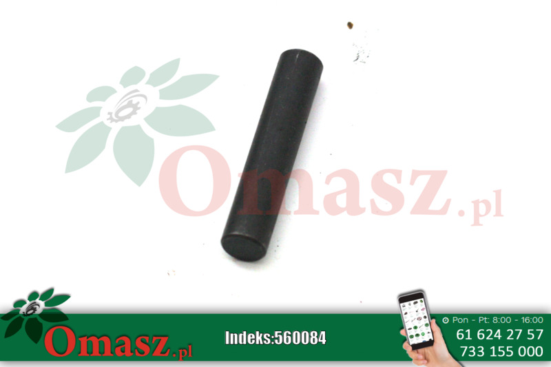 Kołek pełny stalowy Bizon 8*55 5040/19-003
