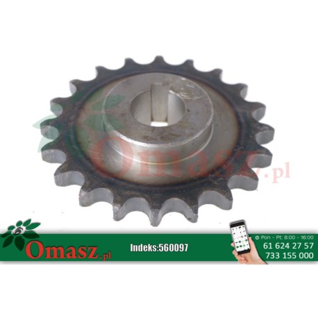 Koło łańcuchowe Bizon, Z-20, skok 5/8 cala, otwór 25mm, z wpustem 5040/20-015/2