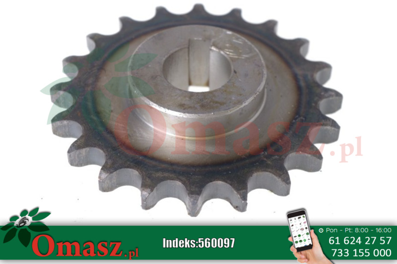 Koło łańcuchowe Bizon, Z-20, skok 5/8 cala, otwór 25mm, z wpustem 5040/20-015/2