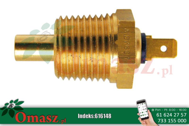Czujnik temperatury 60712000