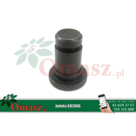 Sworzeń noża kosiarka Lely 830/41249038