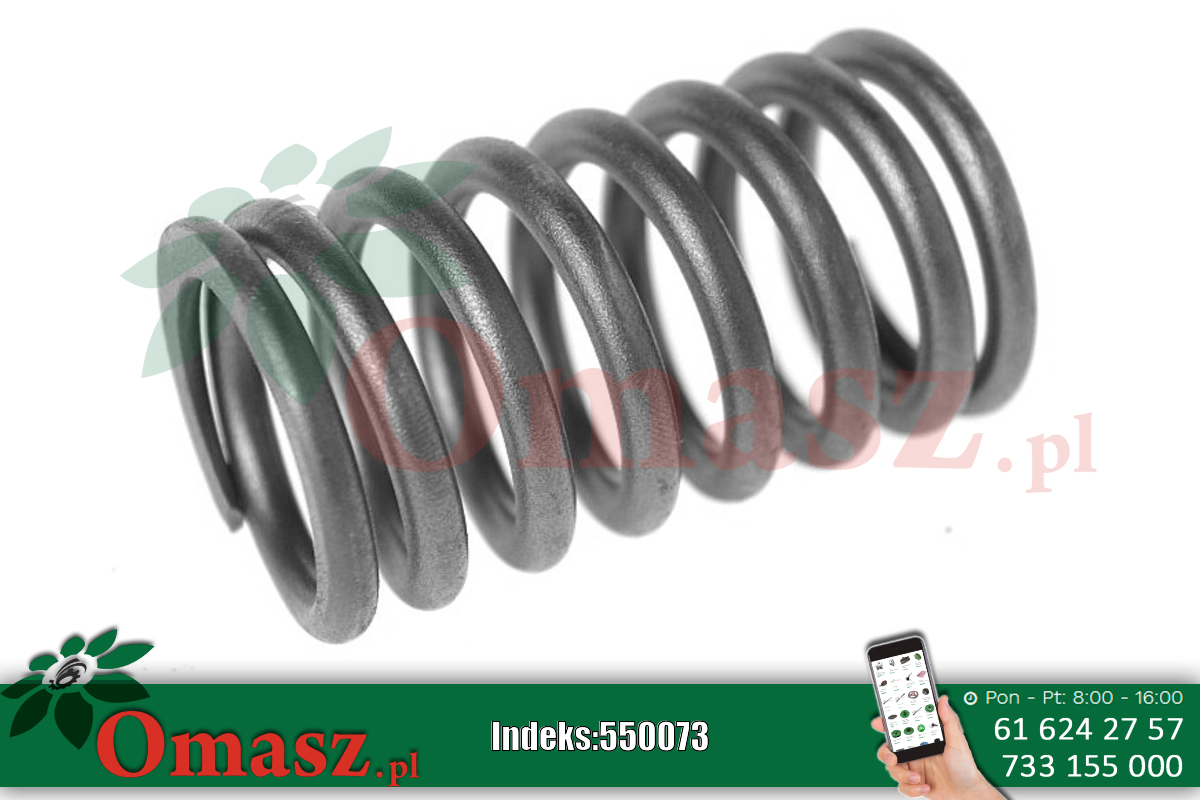 Sprężyna zaworu duża Bizon PL601558