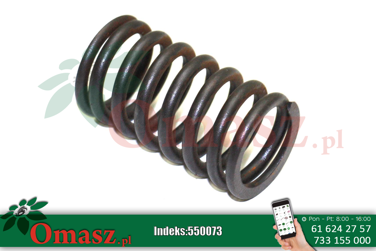 Sprężyna zaworu duża Bizon PL601558