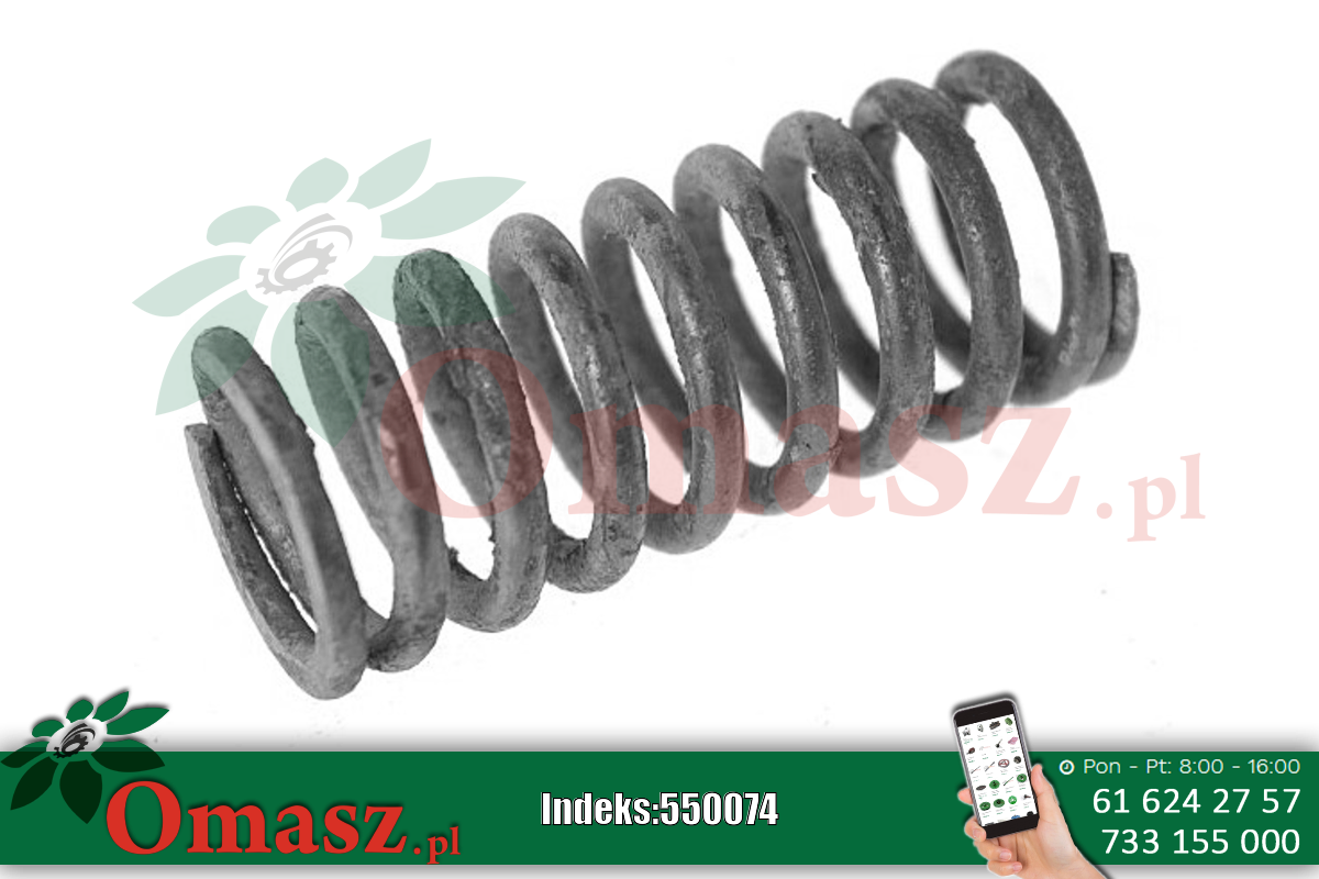 Sprężyna zaworu mała Bizon PL601557