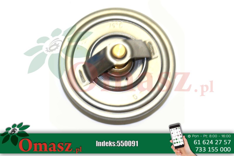 Termostat TF68 TV-20 Bizon PL323378