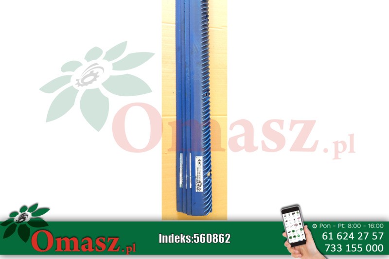 Cep prawy szt. Bizon