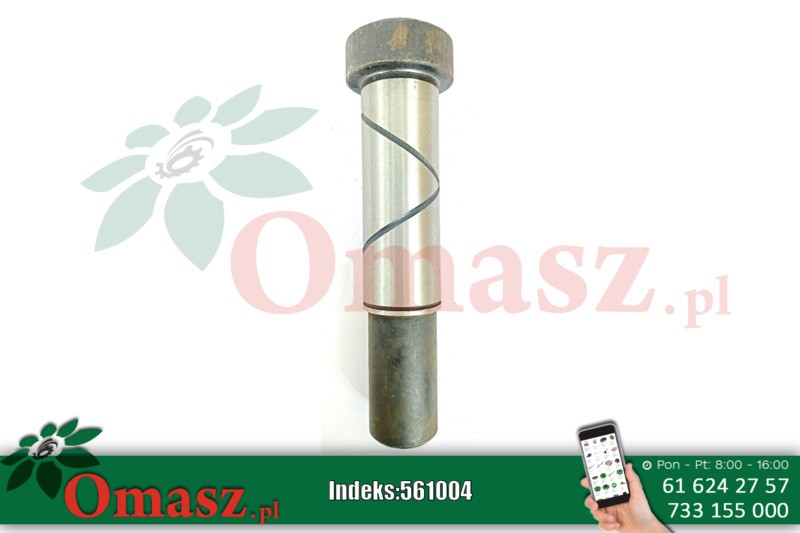 Cylinder motowideł Bizon 5040/03-176/0