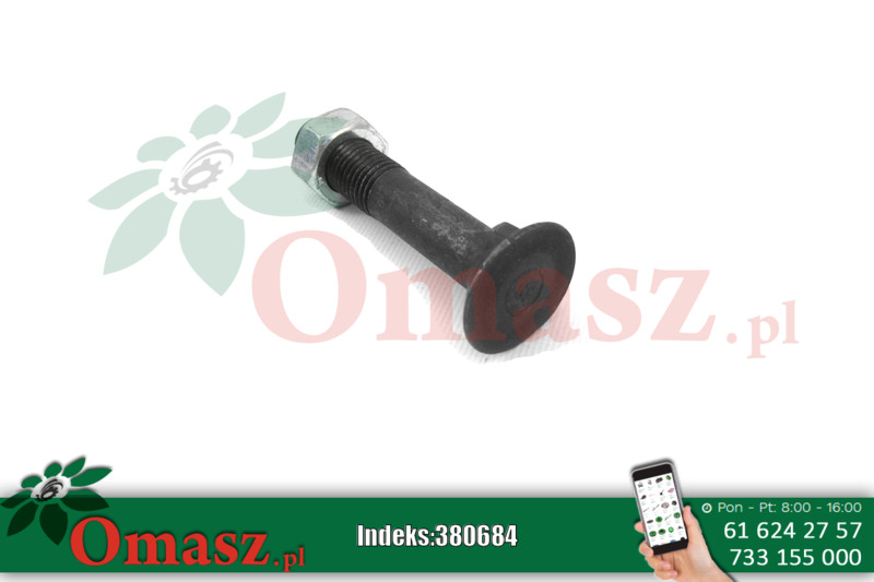 Śruba płużna M16*90 101.8,8
