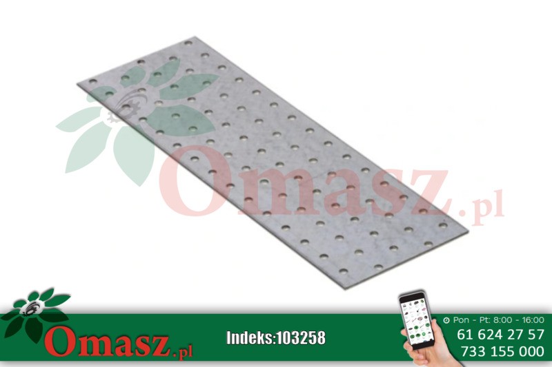 Płyta perforow. 100* 300