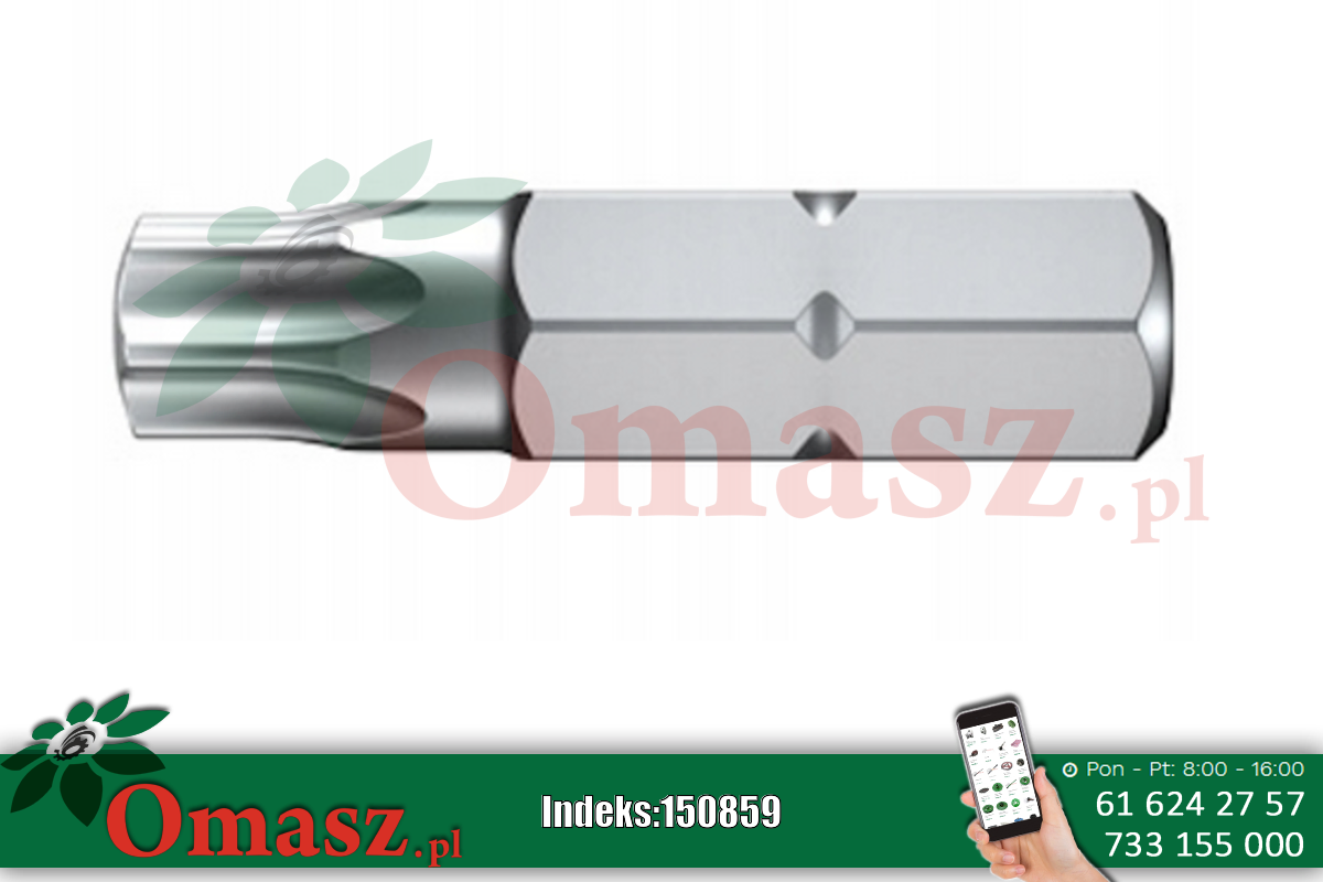 Grot TORX 30 Domax