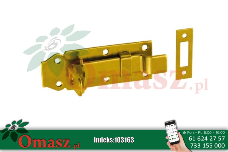 Zasuwa z ryglem 120x45x5