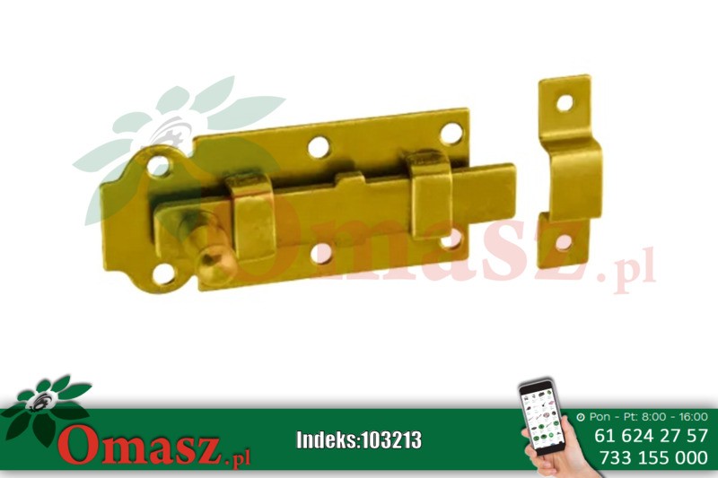 Zasuwa z ryglem 100x45x5 W100