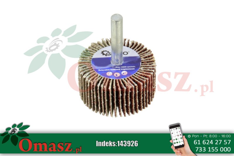 Ściernica trzpieniowa 60*30*6 gr. 40