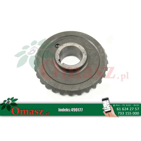 Koło zębate Z-29 otwór42mm, wpust 10mm, skośny ząb Sipma 0829-405-447