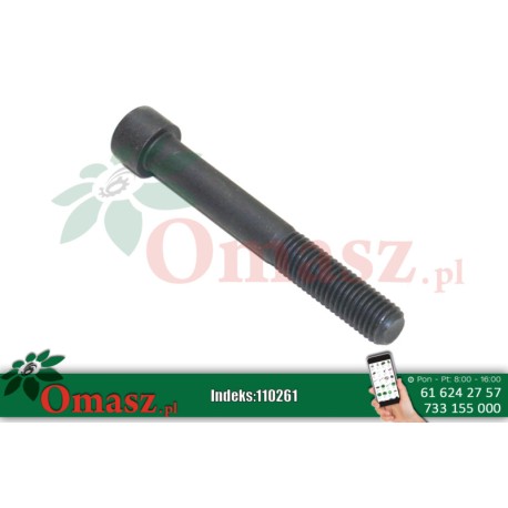 Śruba ampułowa M12* 90 302 12.9